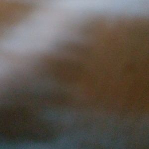 Meet your Posher, Gina